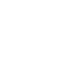 Icon Wirtschaftskurs