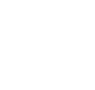 Icon SLV Whitepaper Download