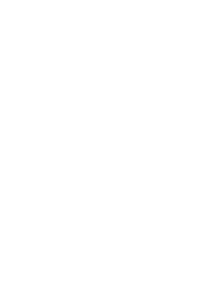 Icon SLV Zertifikat